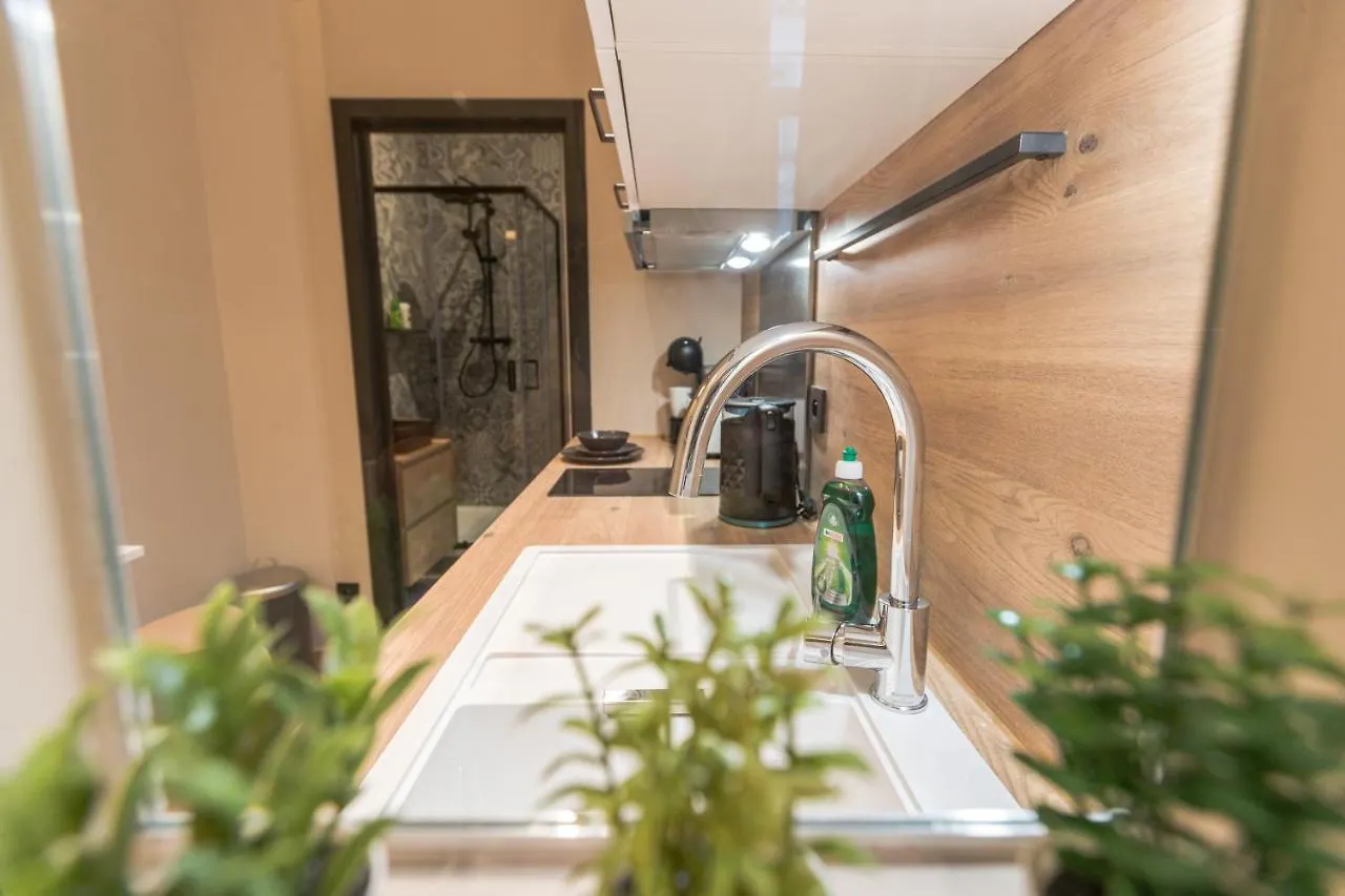 Apartment Golden Dove Luxury Aparts Brussels
